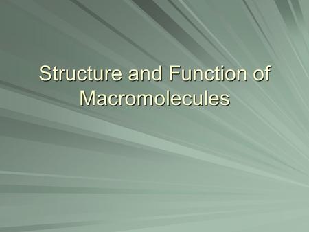 Structure and Function of Macromolecules