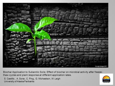 Google images 2011 Biochar Application to Subarctic Soils: Effect of biochar on microbial activity after freeze-thaw cycles and plant response at different.