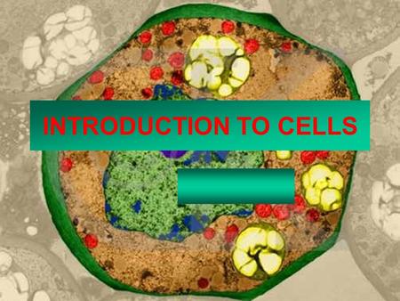 INTRODUCTION TO CELLS.