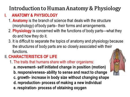 Introduction to Human Anatomy & Physiology