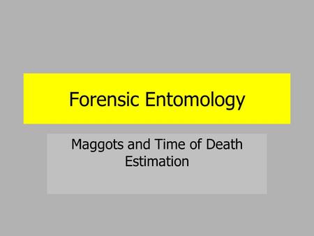 Maggots and Time of Death Estimation