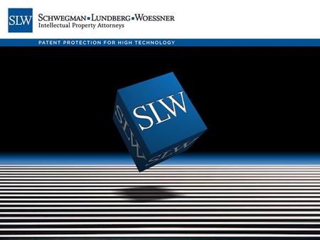 Copyright 2010 Schwegman, Lundberg & Woessner. P.A. All Rights Reserved. Assessing FTO on a Budget Part 1 Analysis before the FTO.