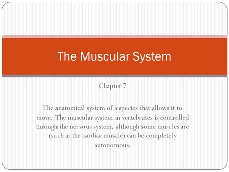 The Muscular System Chapter 7