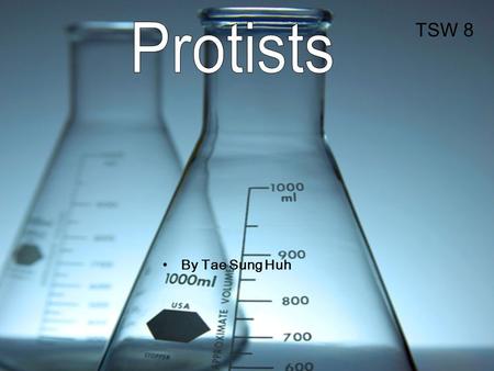 TSW 8 Protists By Tae Sung Huh.