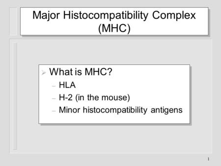 Major Histocompatibility Complex (MHC)