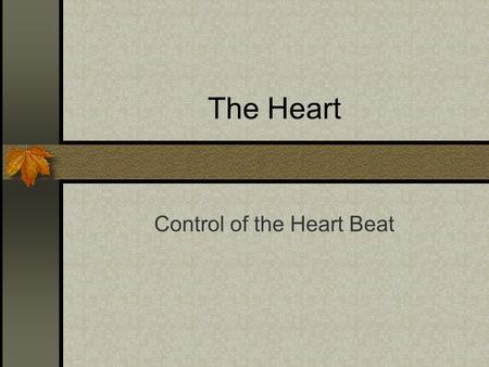 The Heart Control of the Heart Beat The Heart Beat The heart is made up of cardiac muscle. Cardiac muscle is myogenic, which means it naturally contracts.