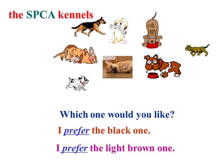 the SPCA kennels Which one would you like? I prefer the black one. I prefer the light brown one.