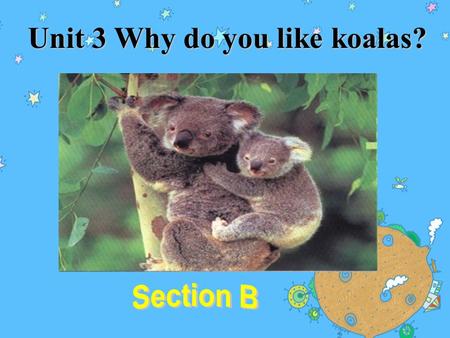 Unit 3 Why do you like koalas? What animals can you see?