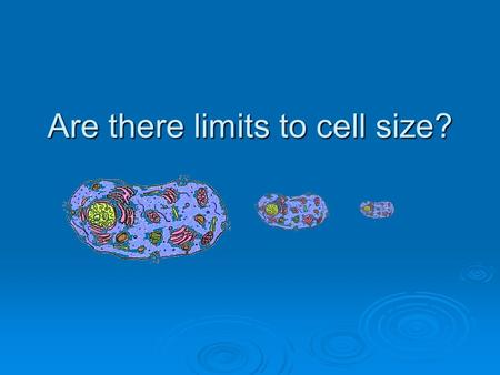 Are there limits to cell size?