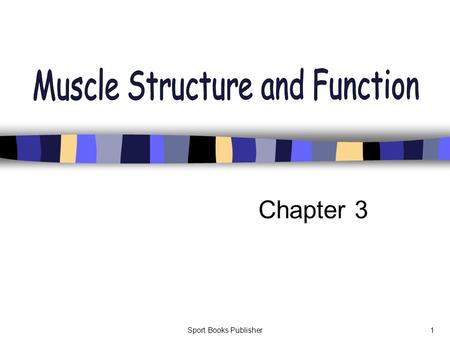 Muscle Structure and Function