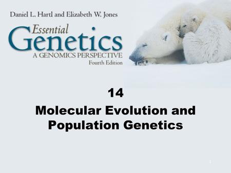 14 Molecular Evolution and Population Genetics