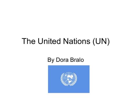 The United Nations (UN)