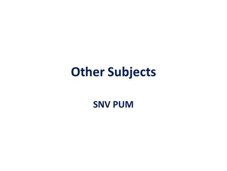 Other Subjects SNV PUM. Other subjects SNV PUM Bank Loans and Funding A big leap.