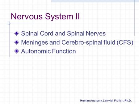 Nervous System II Spinal Cord and Spinal Nerves