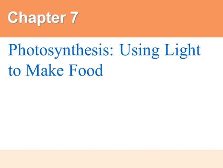 Photosynthesis: Using Light to Make Food