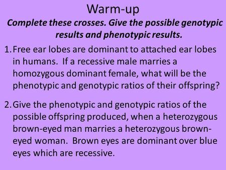 Warm-up Complete these crosses. Give the possible genotypic results and phenotypic results. Free ear lobes are dominant to attached ear lobes in humans.