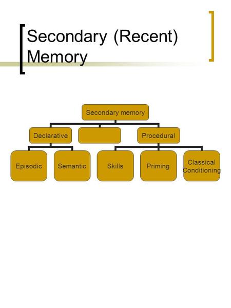 Secondary (Recent) Memory