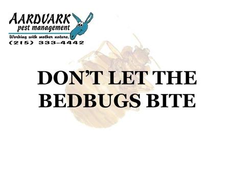 DON’T LET THE BEDBUGS BITE