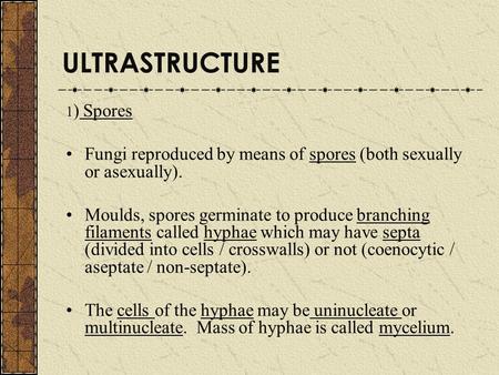 ULTRASTRUCTURE 1) Spores