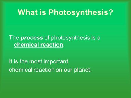 What is Photosynthesis?