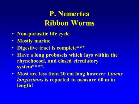 P. Nemertea Ribbon Worms