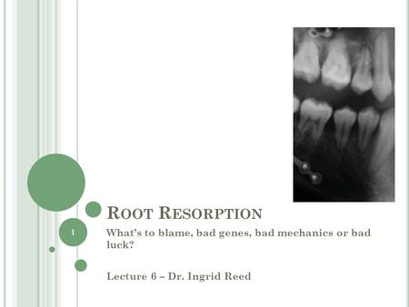 R OOT R ESORPTION Whats to blame, bad genes, bad mechanics or bad luck? Lecture 6 – Dr. Ingrid Reed 1.