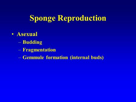 Sponge Reproduction Asexual Budding Fragmentation