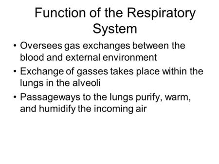 Function of the Respiratory System