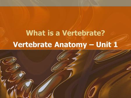 Vertebrate Anatomy – Unit 1