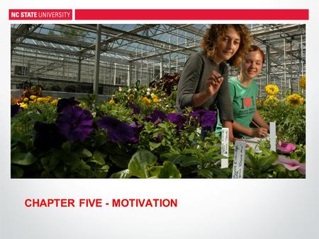 CHAPTER FIVE - MOTIVATION. INTRODUCTION What motivates you? –Success, money, standing out –Creating change, volunteering How do we motivate as managers?