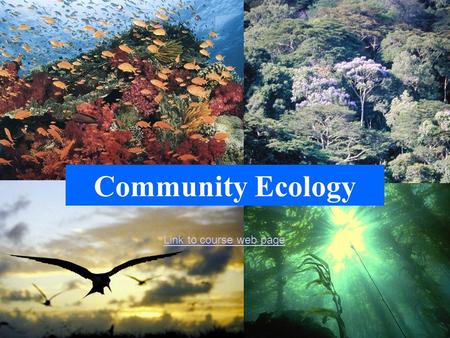 Community Ecology Link to course web page.