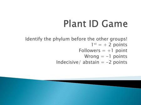 Plant ID Game Identify the phylum before the other groups!