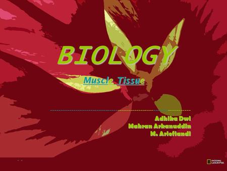 BIOLOGY Muscle Tissue ------------------------------------------------------------------- Adhika Dwi Mahran Arkanuddin M. Ariefiandi.