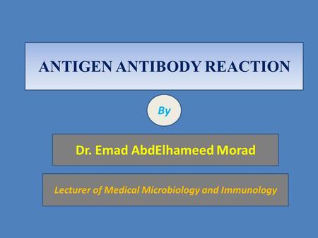 ANTIGEN ANTIBODY REACTION