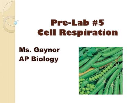 Pre-Lab #5 Cell Respiration