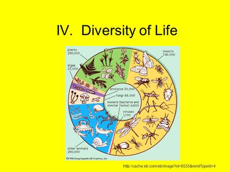 IV. Diversity of Life