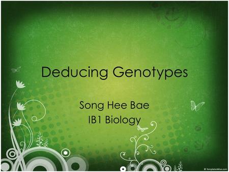 Deducing Genotypes Song Hee Bae IB1 Biology.