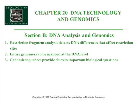 CHAPTER 20 DNA TECHNOLOGY AND GENOMICS