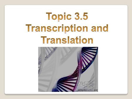 Transcription and Translation