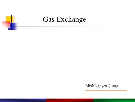 Gas Exchange Minh Nguyen Quang