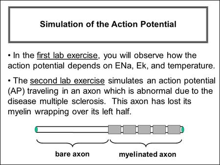 The second lab exercise simulates an action potential (AP) traveling in an axon which is abnormal due to the disease multiple sclerosis. This axon has.