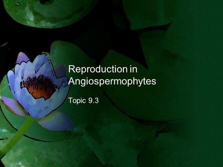 Reproduction in Angiospermophytes