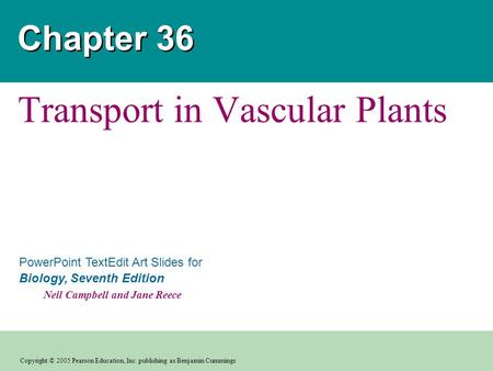 Transport in Vascular Plants