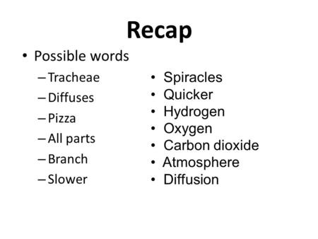 Recap Possible words Tracheae Diffuses Spiracles Pizza Quicker