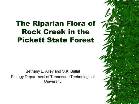 The Riparian Flora of Rock Creek in the Pickett State Forest Bethany L. Alley and S.K. Ballal Biology Department of Tennessee Technological University.