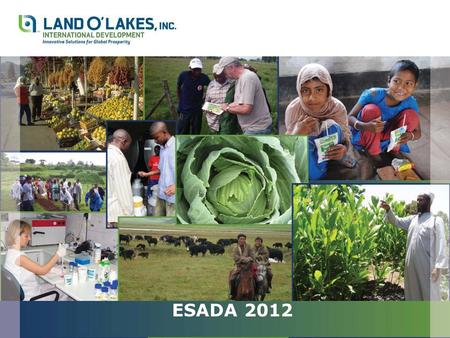 ESADA 2012. Livestock Insurance Best Practices / Lessons Learned John MacKillop Land OLakes International Development Division Dairy / Livestock Practice.