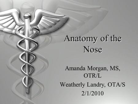 Anatomy of the Nose Amanda Morgan, MS, OTR/L Weatherly Landry, OTA/S 2/1/2010.