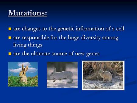 Mutations: are changes to the genetic information of a cell