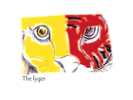 The lyger. The year of the lyger Before you opens a visionary journey through Art of the Word of the Lord for the year 2007. Follow the Lyger tracks…………….