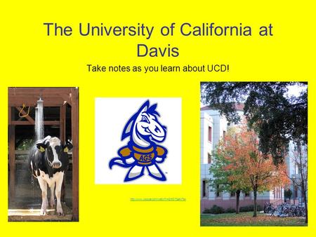 The University of California at Davis